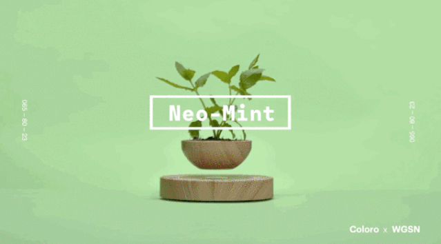 2020年春夏家居流行色，家具你知道怎么选了吗？