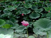 履行好营销职能 门业企业总结卖点实现品牌溢价